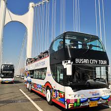 시티투어 버스로 즐기는 국내 도시 여행(서울, 부산, 대전) 관련사진