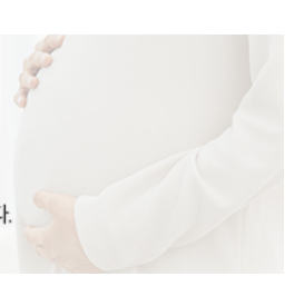 서울시임신부교통비지원