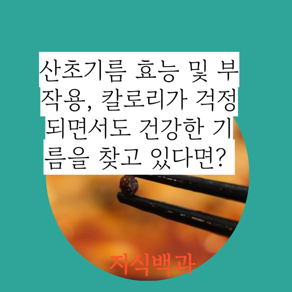 산초기름 효능 및 부작용, 칼로리가 걱정되면서도 건강한 기름을 찾고 있다면?