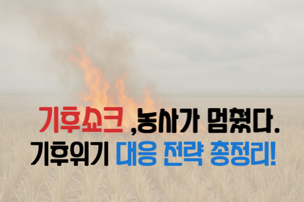 [기후쇼크 현실화] 기후위기 시대, 농업이 살아남는 5가지 전략 + 농민 사례