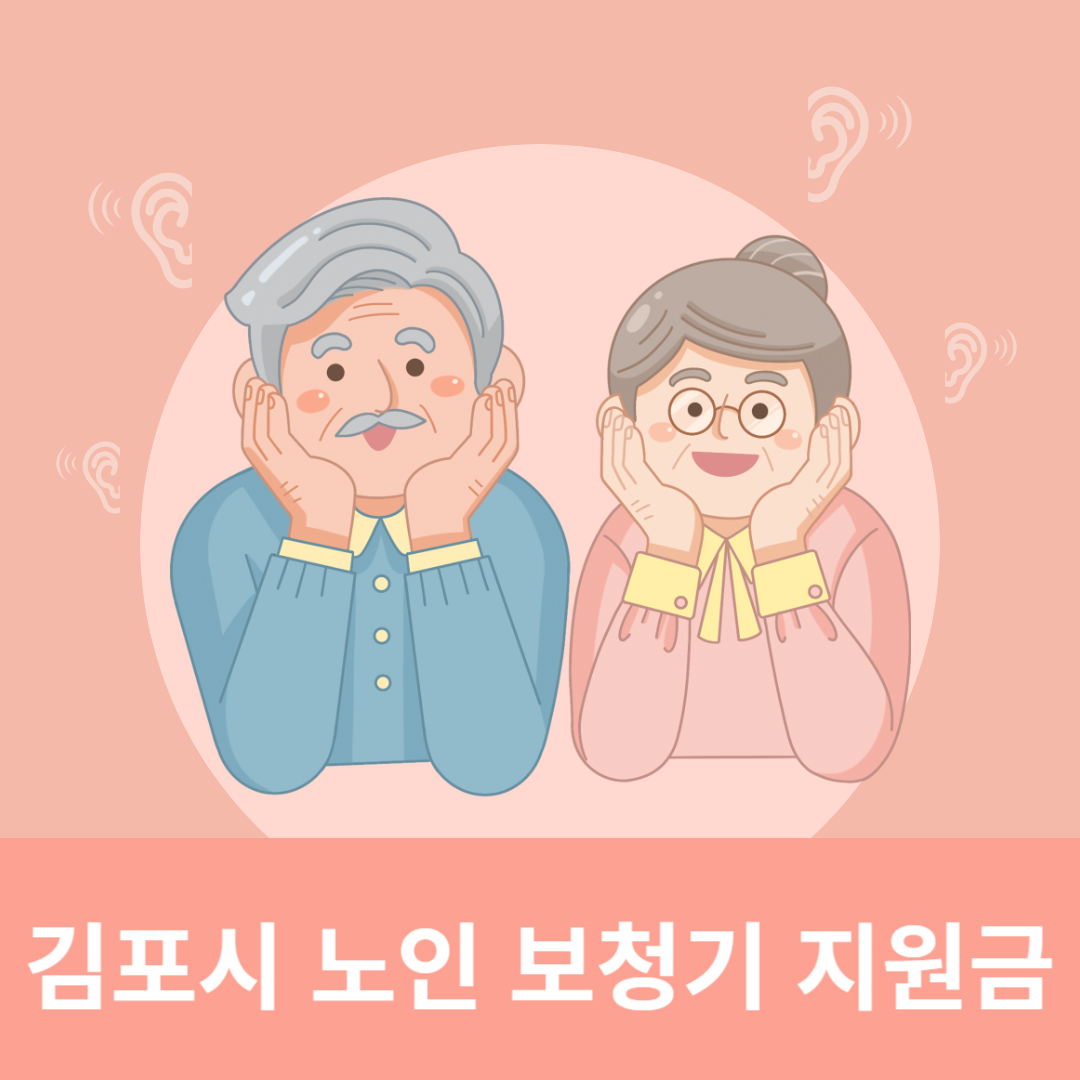 김포시 노인 보청기 지원금