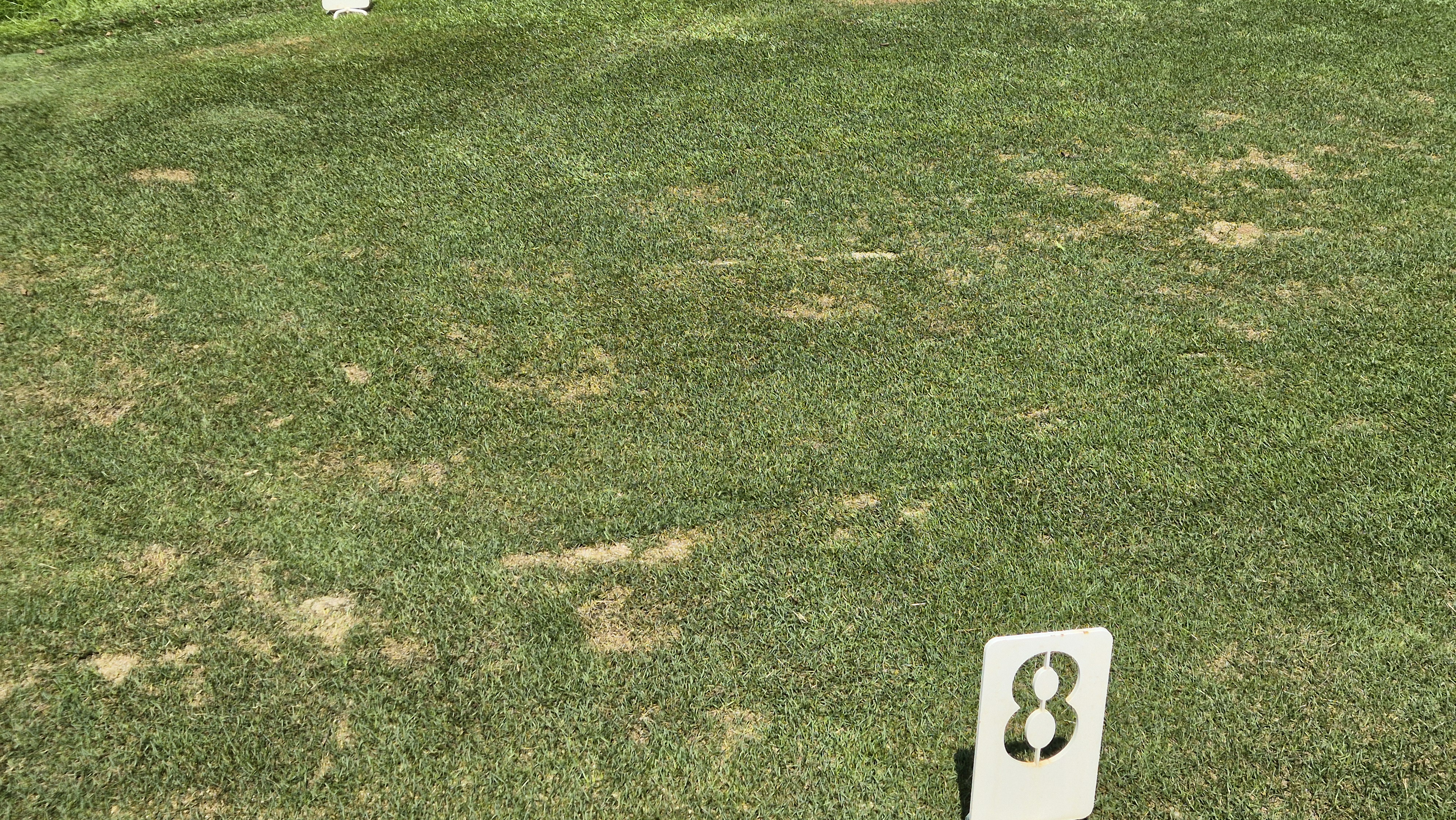 골프존카운티 안성H