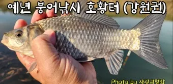 낚시 강태공들의 꿀팁 붕어 미끼 블렌딩 방법 공유_2