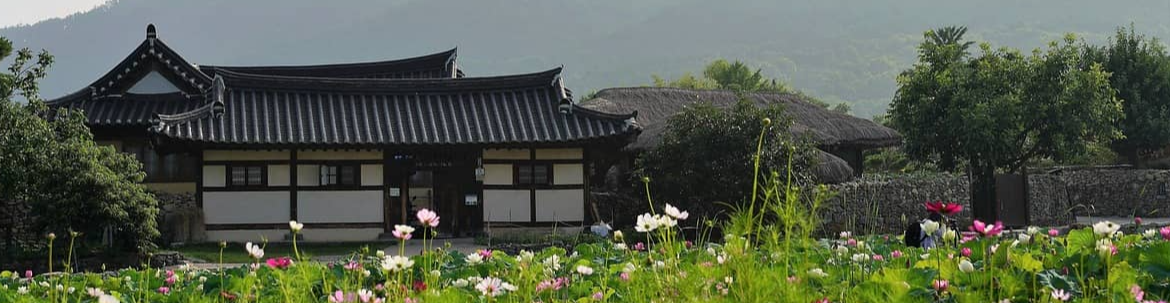 신문과 독서로 읽기 실력 향상하기