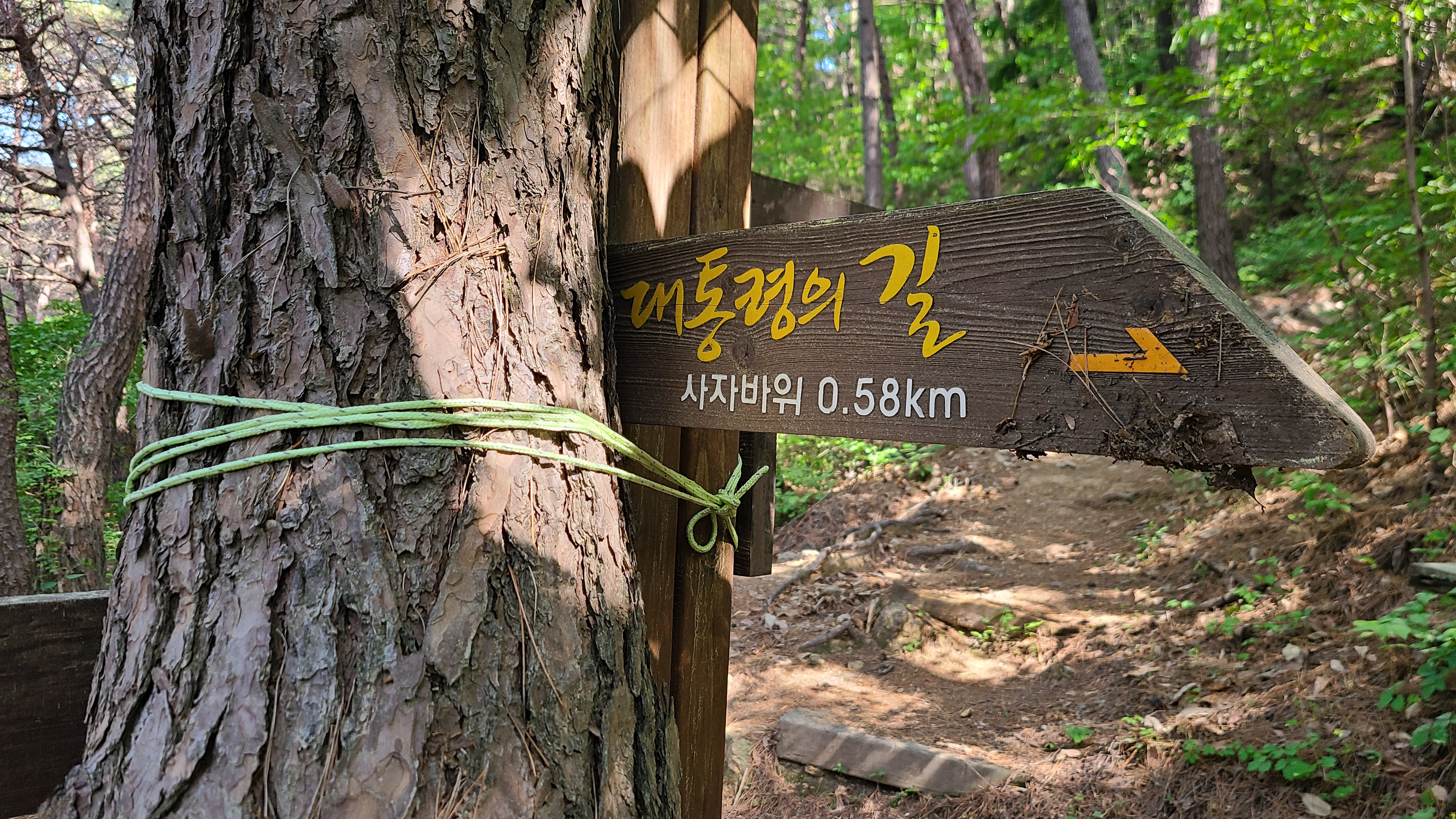 김해 봉하마을 봉화산