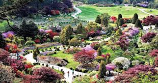 이재명 대통령 사주 풀이