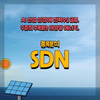 SDN 기업 이미지
