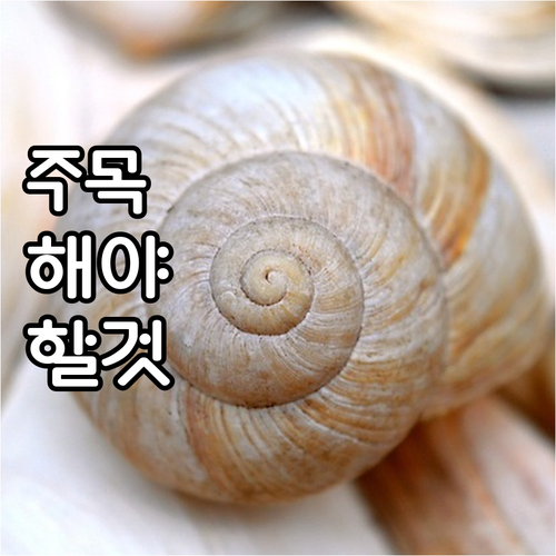 광진구 장애인 출산지원 2025년 혜..