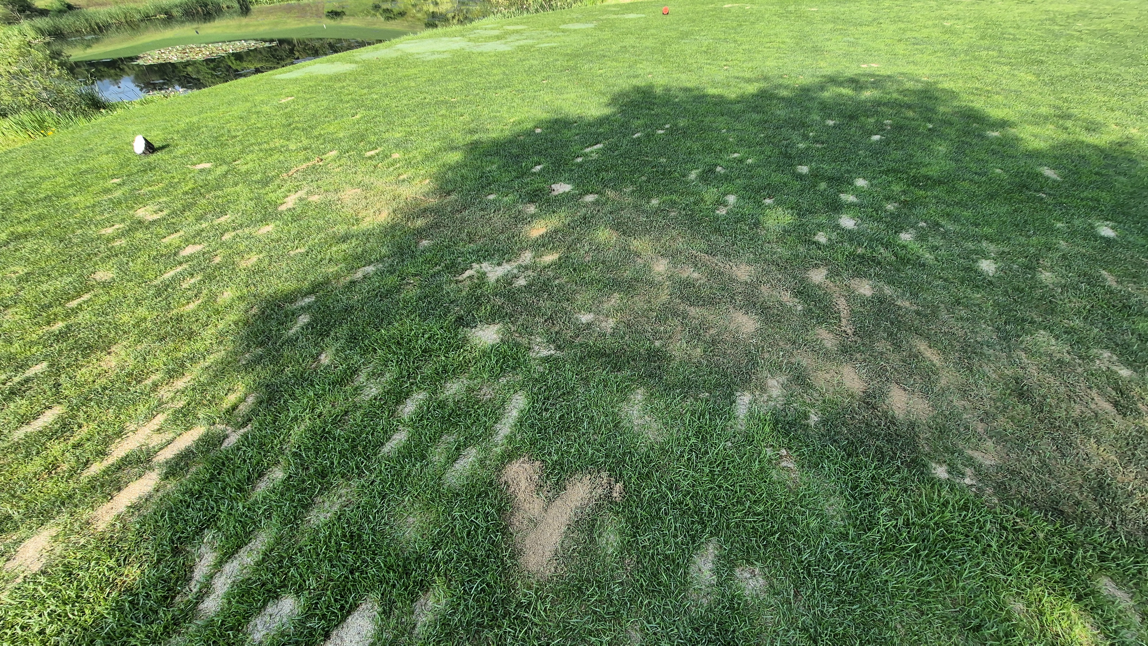 샤인데일cc 라운드 후기