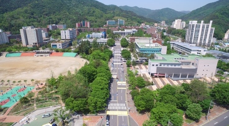 2024년과 2025년 대학 등록금 비교 관련 사진자료