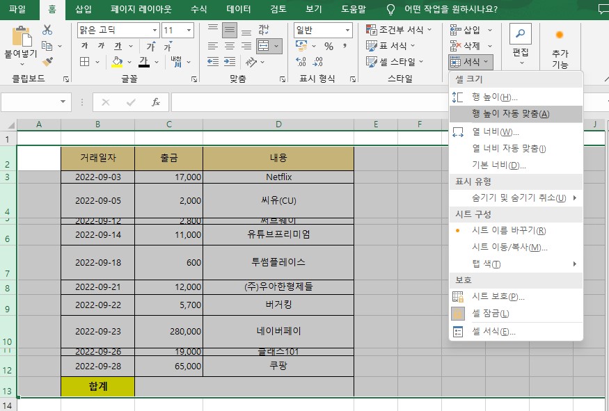 엑셀 행높이 같게 만들기 서식 복사