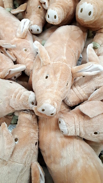 돼지띠생의 성격-돼지띠를 알아보자-두부처럼 담백한