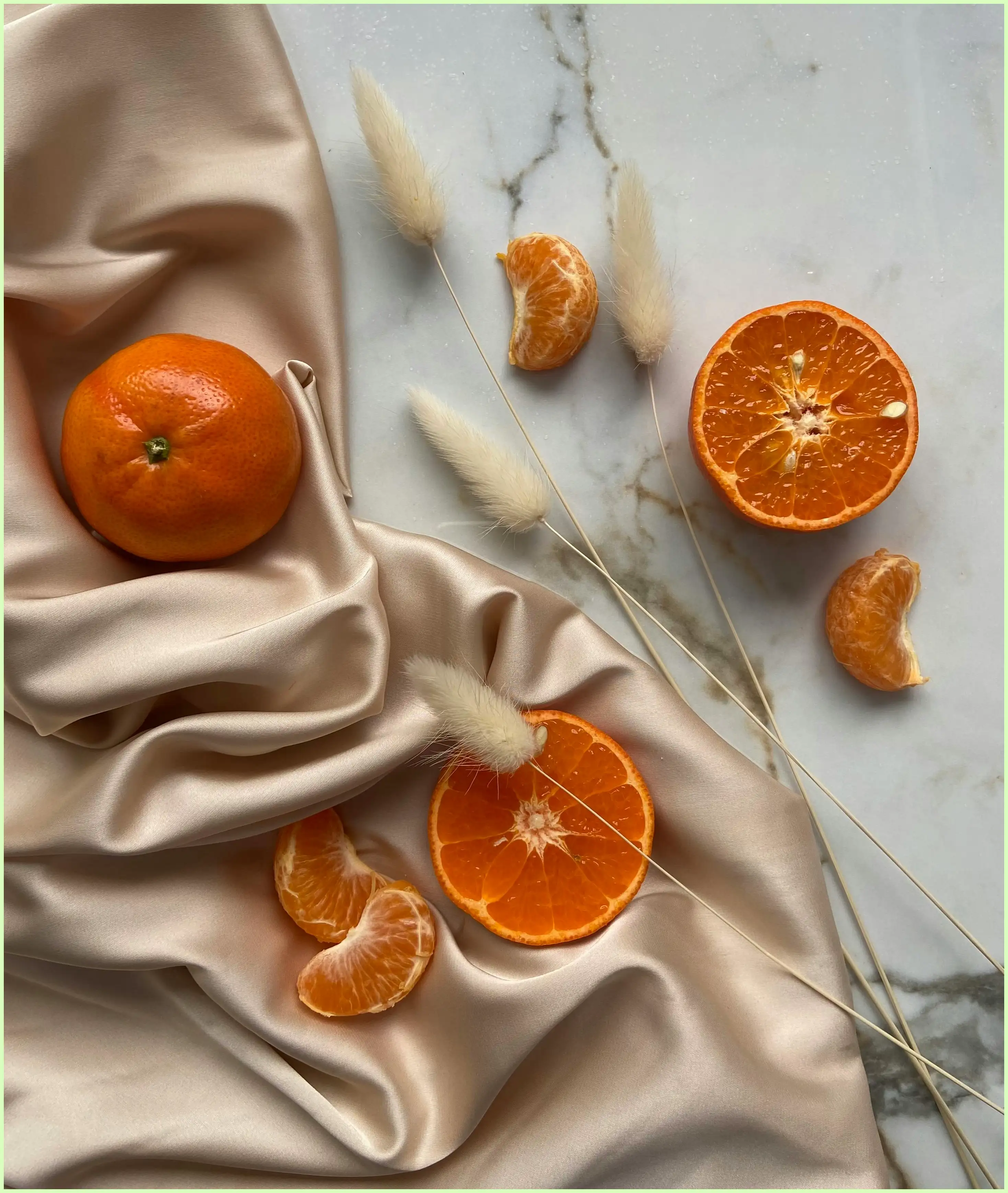 강아지 귤 먹어도 되나요? 소량 급여와 안전한 급여법