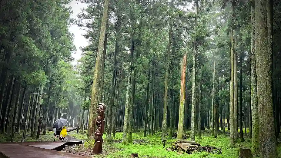 아름다운 휴양림 제주 절물자연휴양림 산책로 사진 입니다.