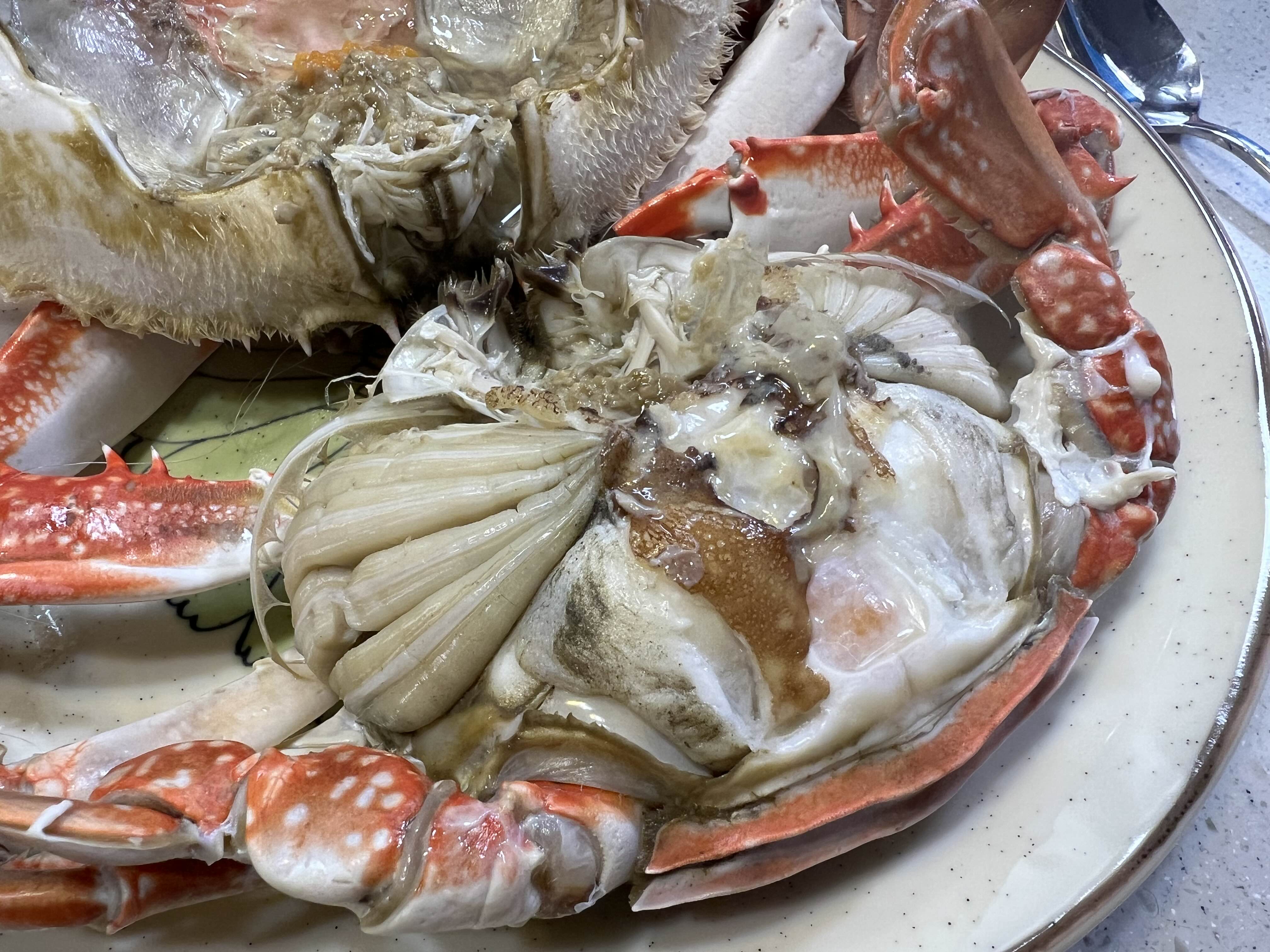 암게 숫게 구분