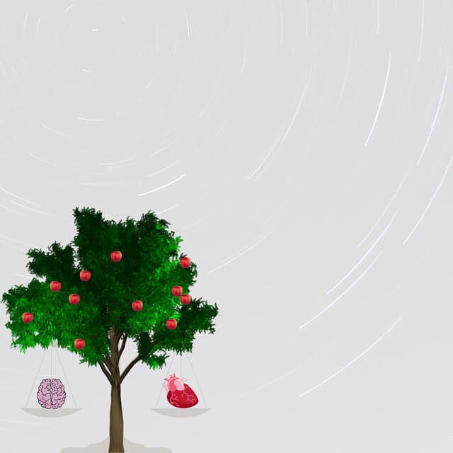 자산주 기업을 구분하는 핵심 재무제표 기준