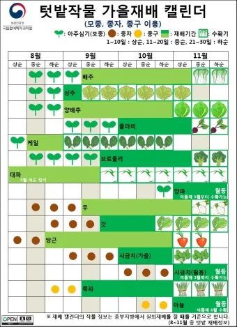 8월에 심는 텃밭 작물, 파종작물, 밭작물, 채소, 꽃씨_49