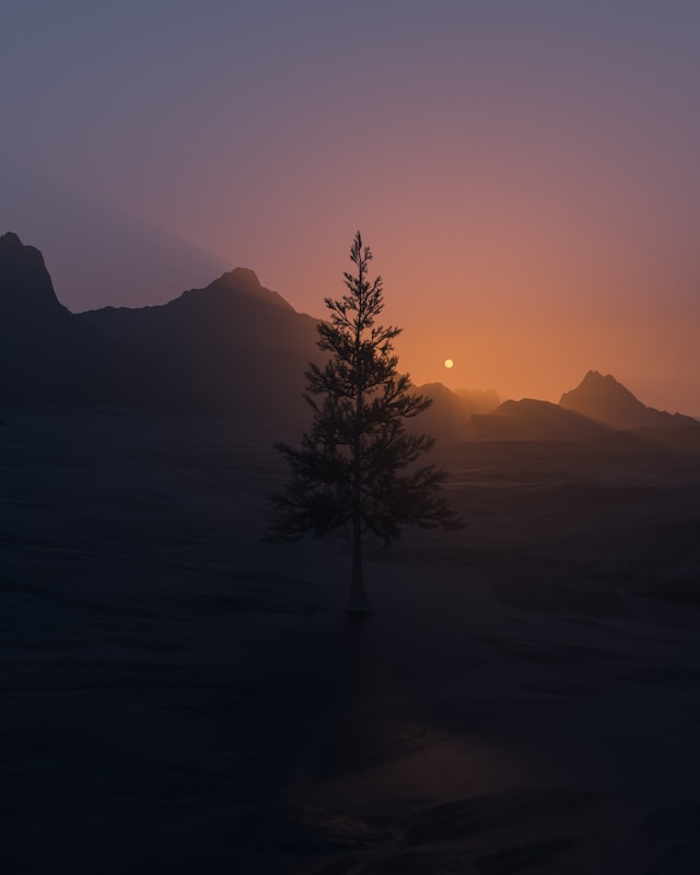 2026년 새해인사말 짧은 문구 베스트 60선