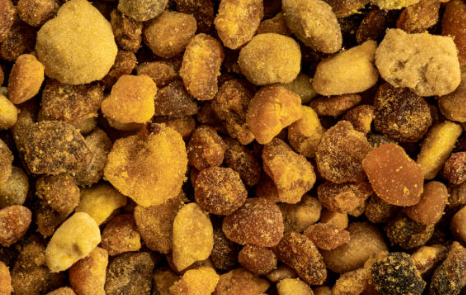 프로폴리스 효능, 부작용 총정리 (2024ver)