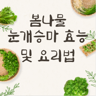 봄나물 눈개승마 효능, 눈개승마 먹는법