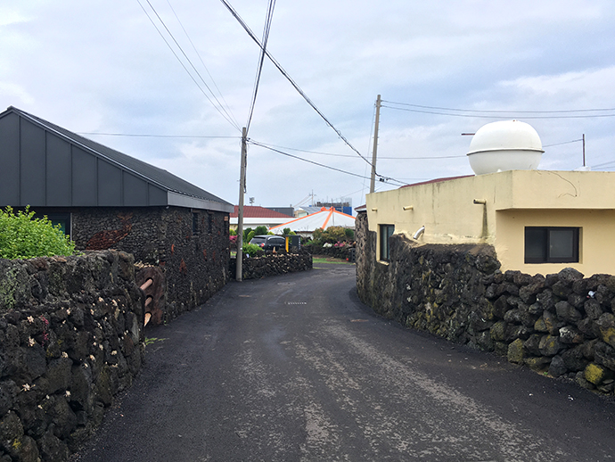 월정리 동네길3