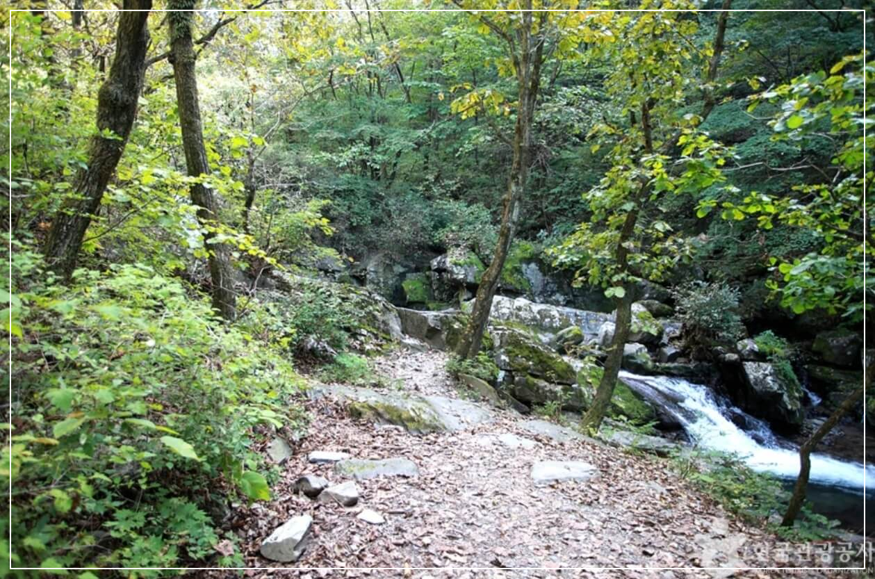 영월 가볼만한곳 베스트10 용소폭포