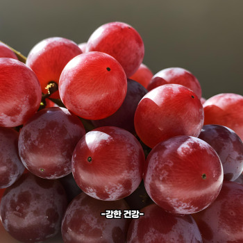 루비로망 효능
