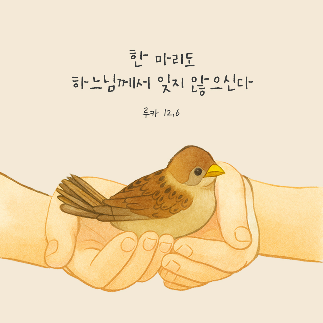 한 마리도 하느님께서 잊지 않으신다. (루카 12,6) by 피어나네 말씀카드 말씀이미지