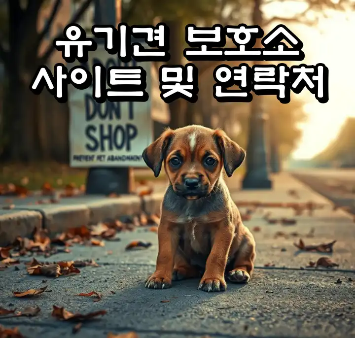 유기견보호소