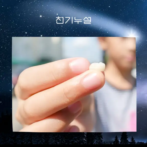 이가 빠지는 꿈해몽