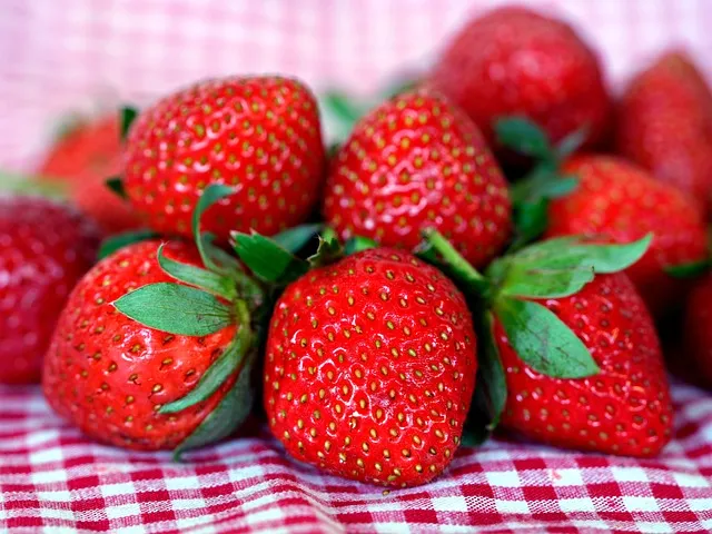 메이플 슈피겔라 황금 딸기농장 효율 극대화 실전 팁_9