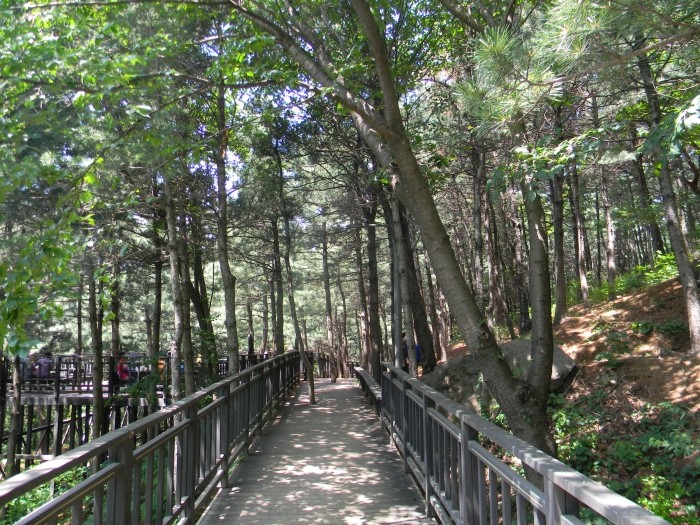 서달산자락길