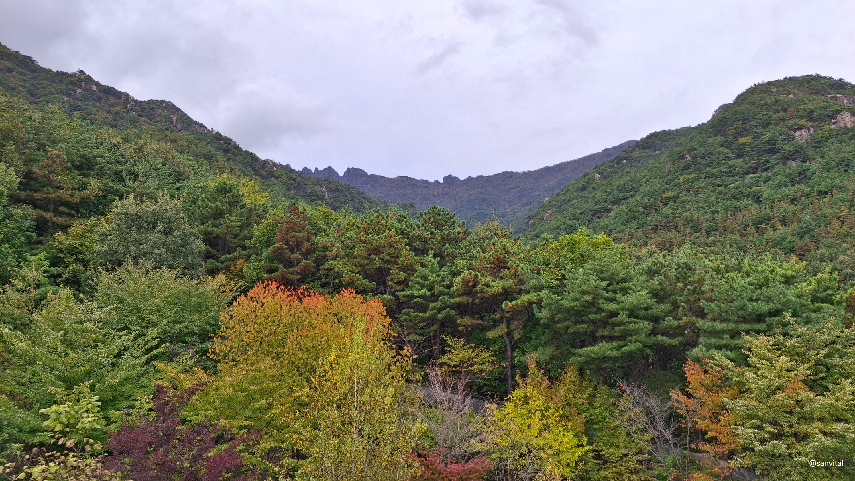 가야산 야생화식물원 전망대에서 만물상 조망