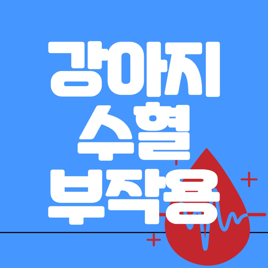 강아지수혈부작용