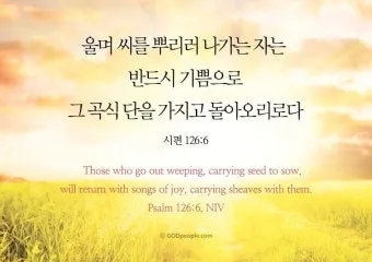 시편 126편 5 6절 씨뿌리는 자_28