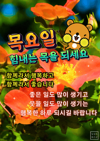 노란 꽃 배경에 목요일 인사 문구와 귀여운 곰 캐릭터가 함께 있는 밝은 하루 응원 이미지