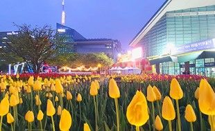 고양꽃박람회