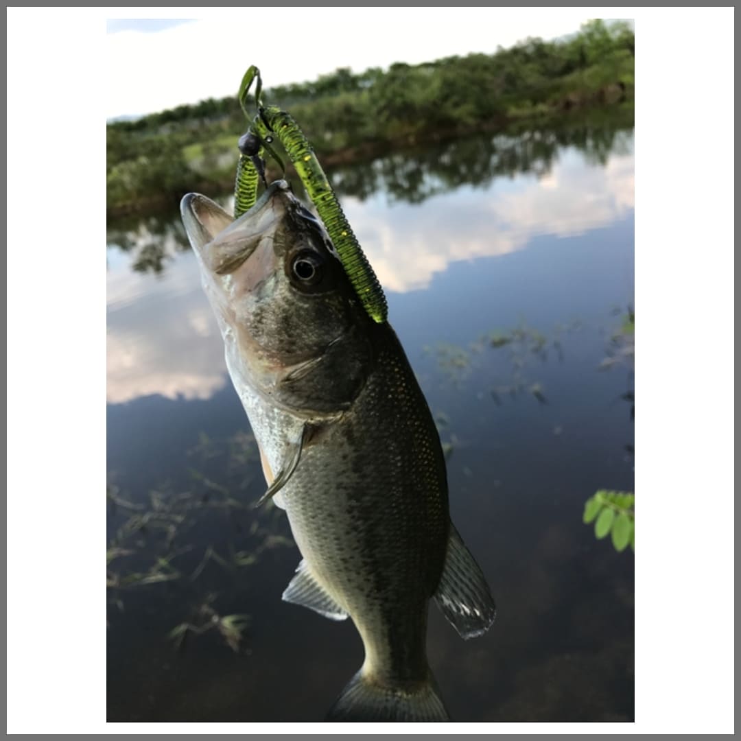 웜으로-런커잡기