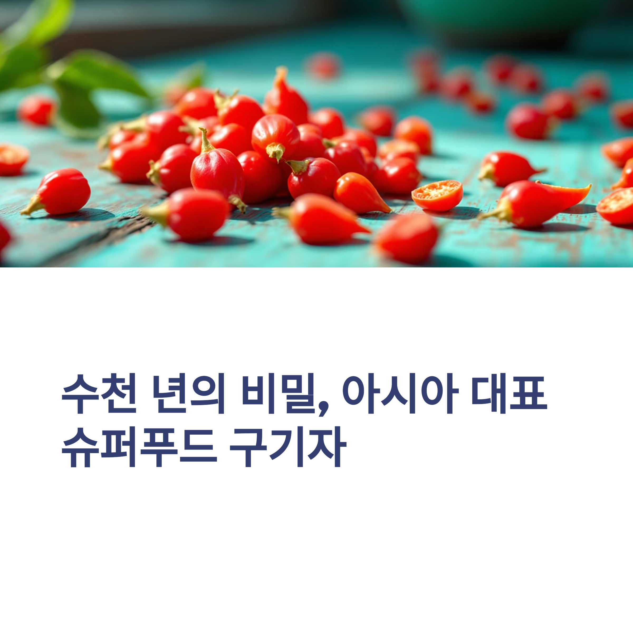 구기자