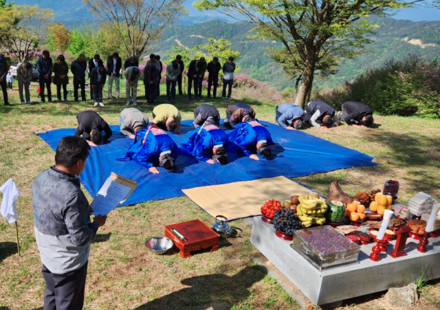 산청황매산 철쭉제