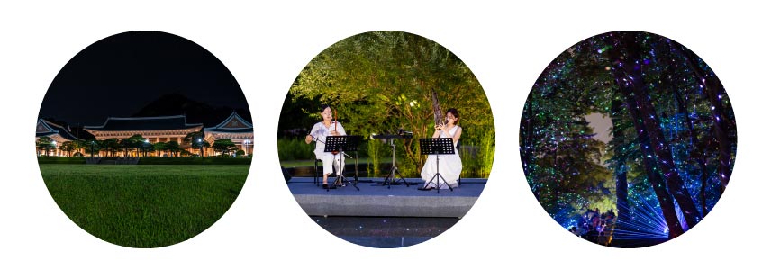 청와대 야간개장