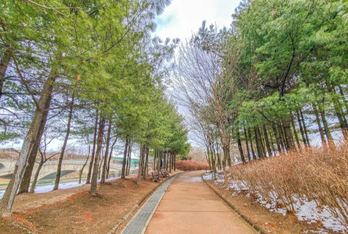 김포 반려견 겨울 나들이 명소, 강아지와 함께 산책하기 좋은 곳 추천