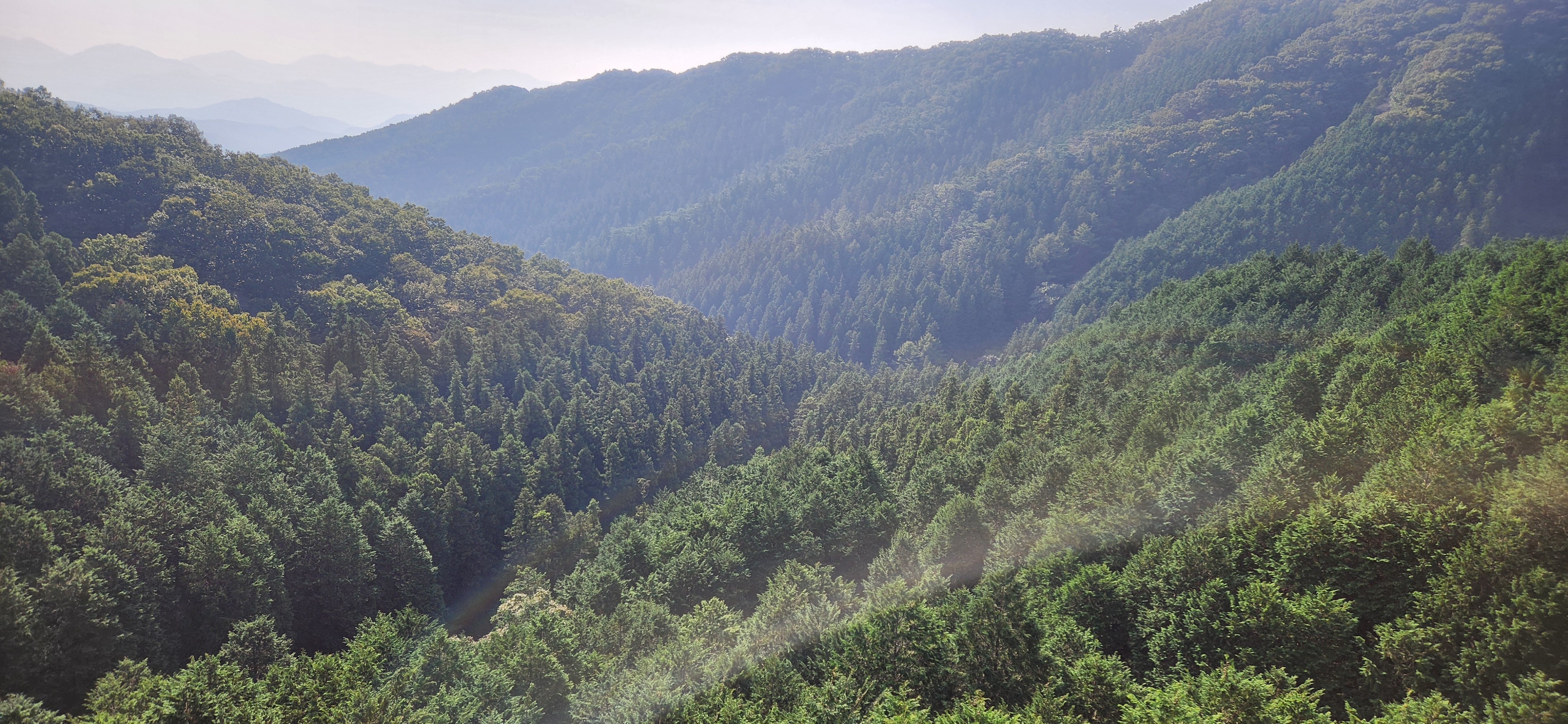 장성 치유의숲 축령산 전망대 발 아래 모습