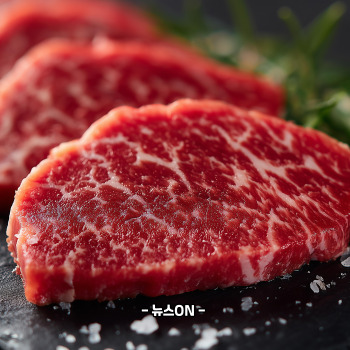 콜라겐 많은 음식