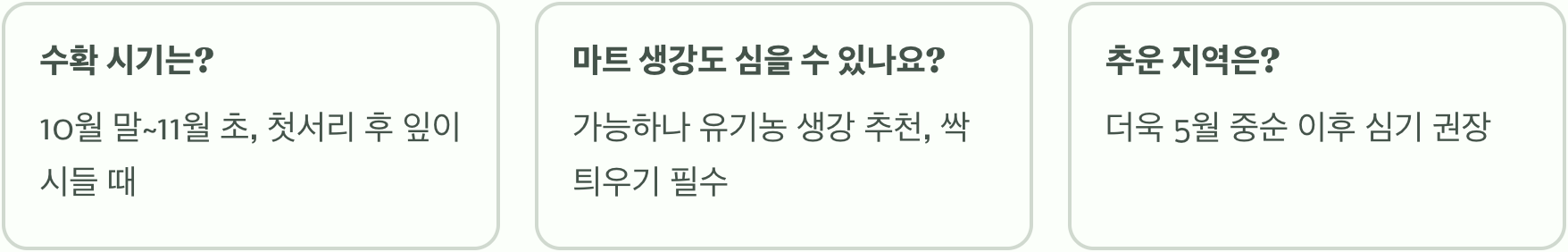 가을 수확을 위한 최적의 생강심는시기 (4월 vs 5월)