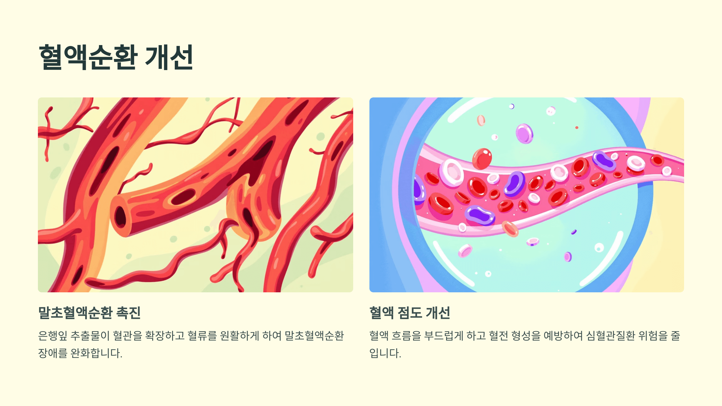 은행잎 사진입니다.