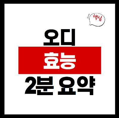 오디 효능