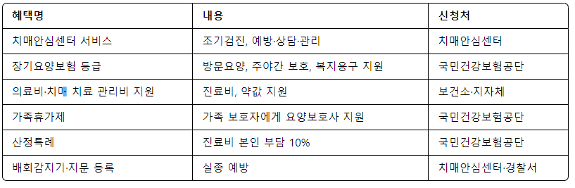 치매 환자를 위한 복지 혜택과 정부 지원금 정리 – 꼭 알아야 할 현실적인 도움