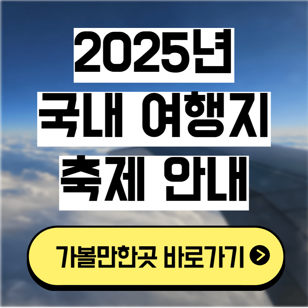 국내 여행지