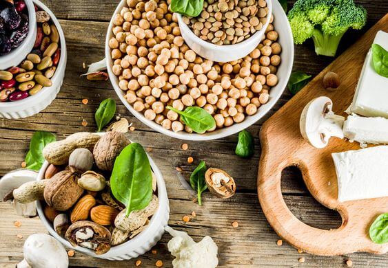 단백질 보충제 4